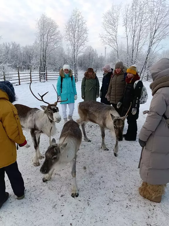 «Олени, байки и горячий чай» (1 день) Архангельск