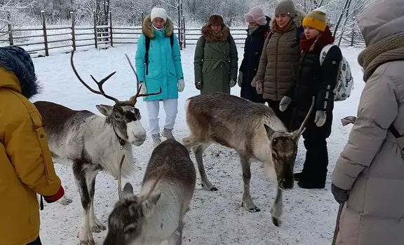 «Олени, байки и горячий чай» (1 день) Архангельск