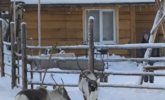 «Олени, байки и горячий чай» (1 день) Архангельск