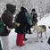 «Олени, байки и горячий чай» (1 день) Архангельск
