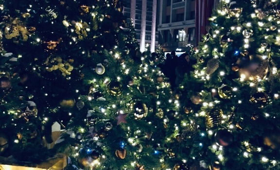 «Новогодняя Москва» из Котласа (5 дней / 4 ночи) 🎄