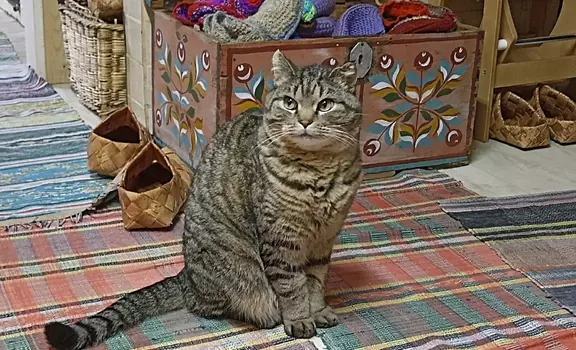 «Вкус традиций» (1 день) Котлас